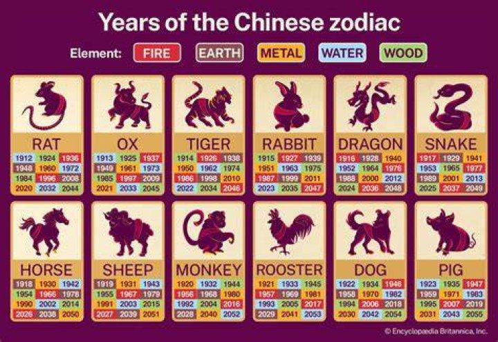 1952 Year of the Chinese Zodiac: Discover Your Zodiac Animal and Traits