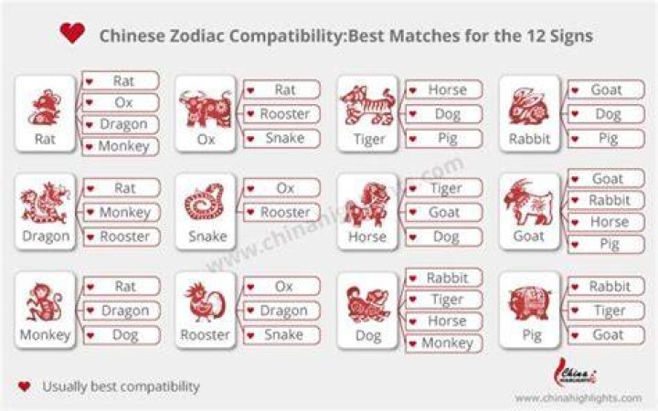 1976 Chinese Zodiac Compatibility: Discover Your Perfect Match