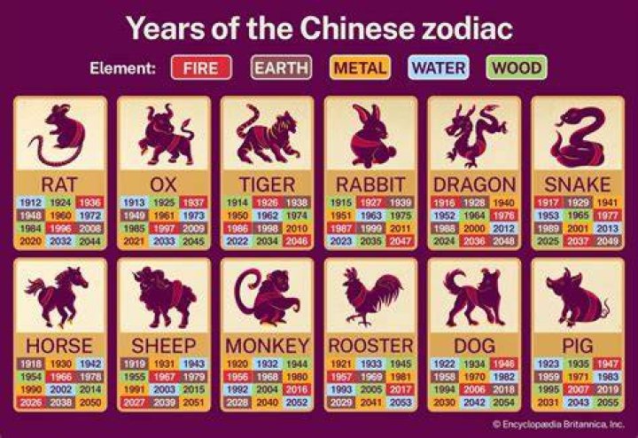 1984 Chinese Zodiac Element: Discover Your Hidden Traits and Fortunes