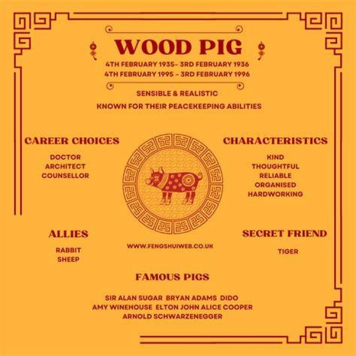 1995 Chinese Zodiac Element: Discover Your Wood Pig Energy