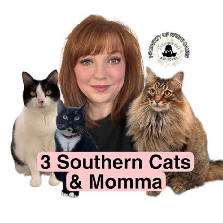 3 Southern Cats and Momma: A Heartwarming Story of Love and Connection