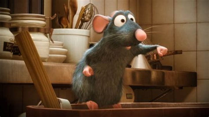 Adam Scott in Ratatouille: A Deep Dive into the Actor&rsquo;s Role and Legacy