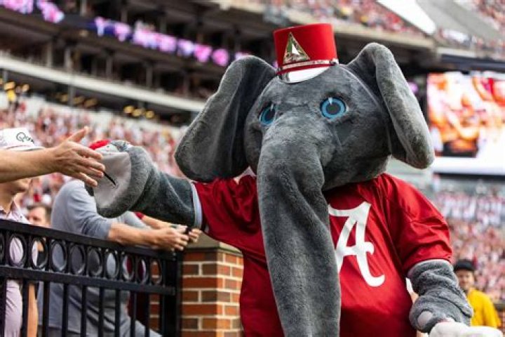Alabama Elephant Mascot Origin: Unveiling the Fascinating Story Behind the Iconic Symbol