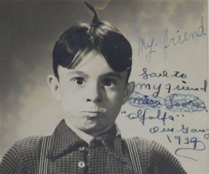 Alfalfa from The Little Rascals: A Comprehensive Look at the Iconic Character