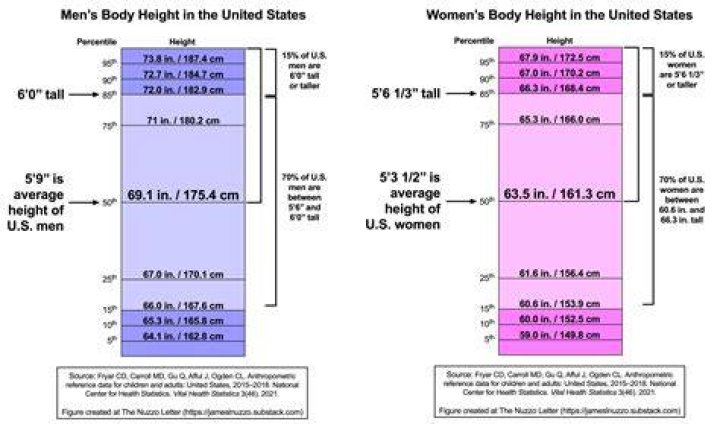 Average Female Height in United States: A Comprehensive Analysis