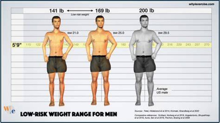 Average Weight for a 6 Foot Male: A Comprehensive Guide