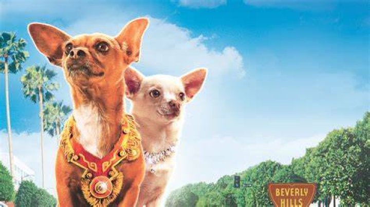 Beverly Hills Chihuahua 4: A Tail-Wagging Adventure for the Whole Family