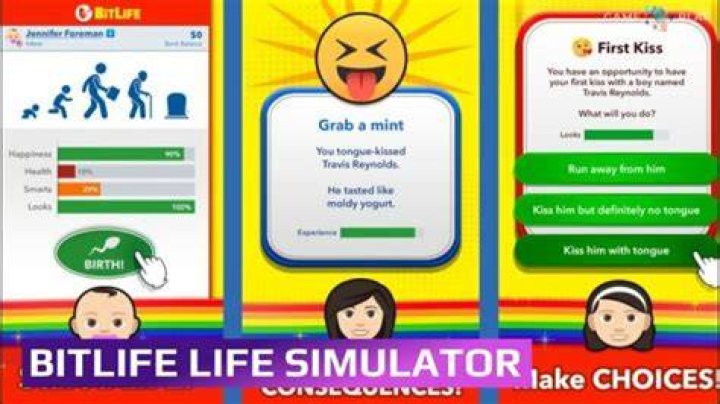 BitLife Model: A Comprehensive Guide to the Revolutionary Simulation Game