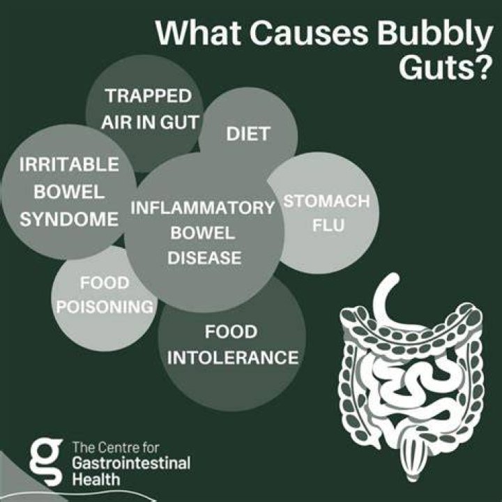 Bubble Gut Diarrhea: Understanding Causes, Symptoms, and Effective Management