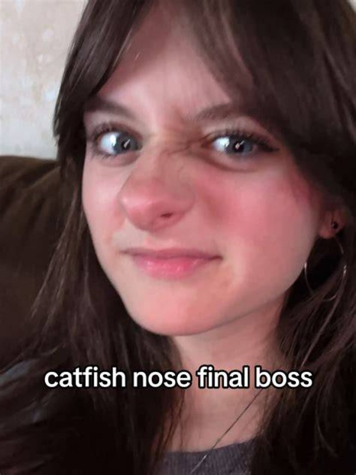 Catfish Gay: Understanding the Phenomenon and Its Impact