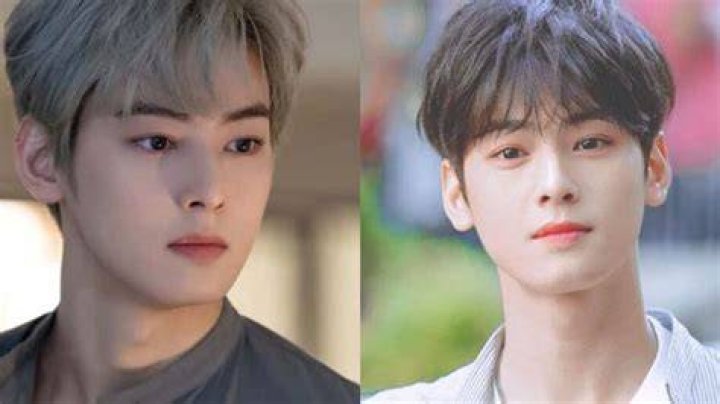 Cha Eunwoo: The Rising Star of K-Pop and Acting