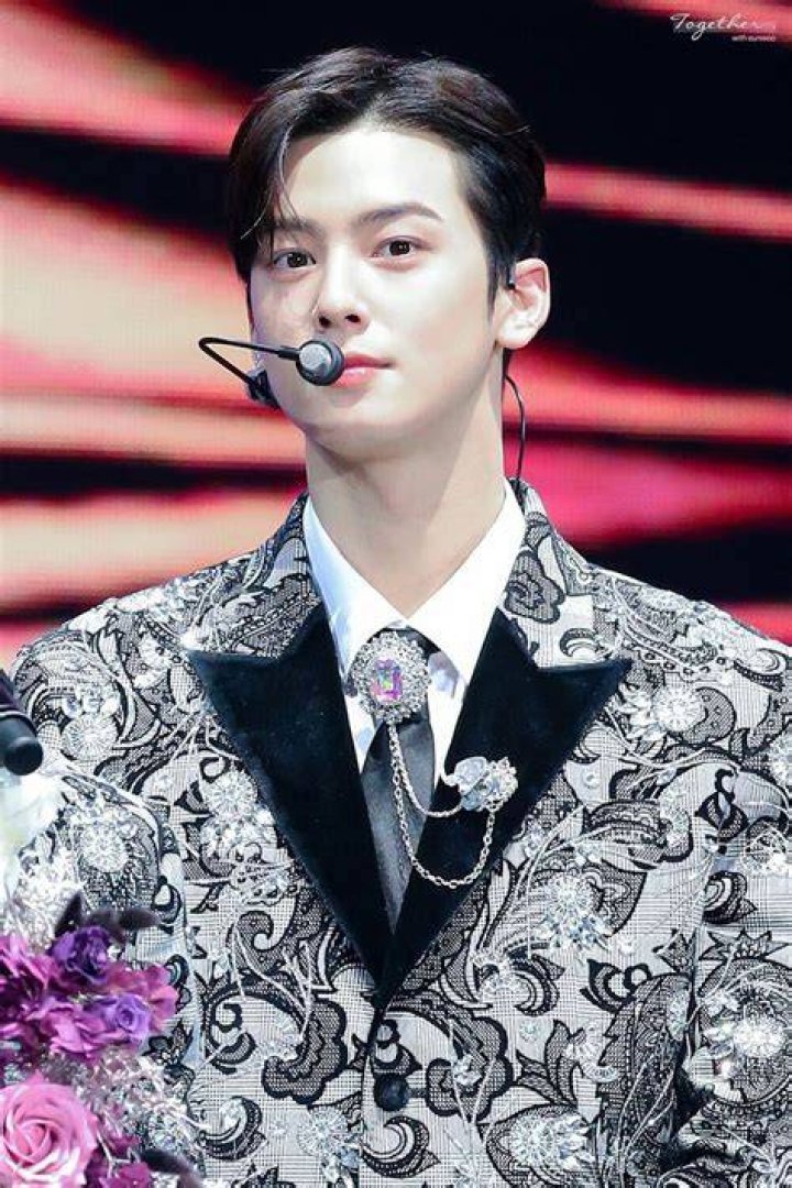 Cha Woo: The Rising Star in the Entertainment Industry