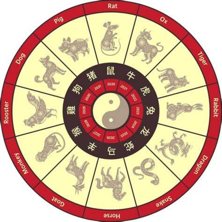 Chinese Zodiac in NYT: Understanding the Influence of Chinese Astrology in Modern Times
