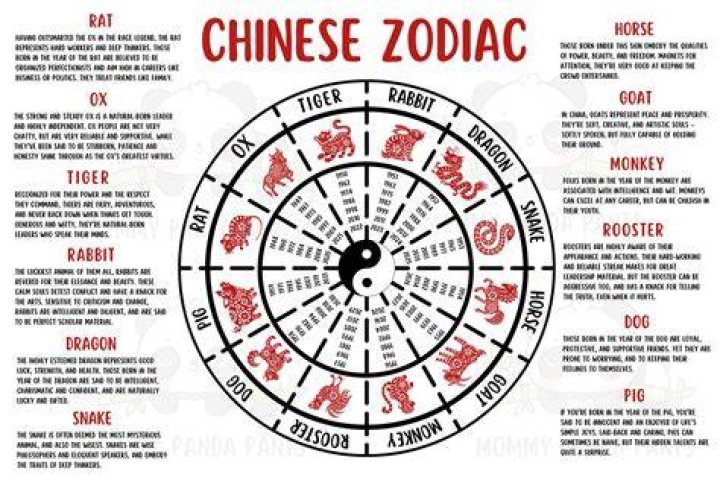 Chinese Zodiacs Ranked: Discover the Characteristics and Traits of Each Sign