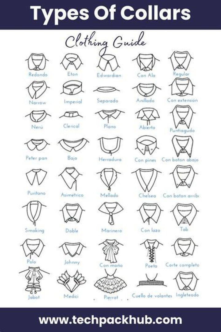 Collars and Co: Elevating Your Style with Premium Collars