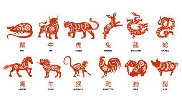 Complete Chinese Horoscope: Unlock the Secrets of Your Zodiac Sign