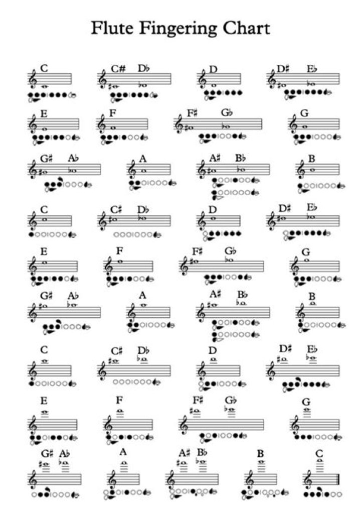 Comprehensive Guide to Flute Range Chart: Understanding and Mastering the Instrument's Potential