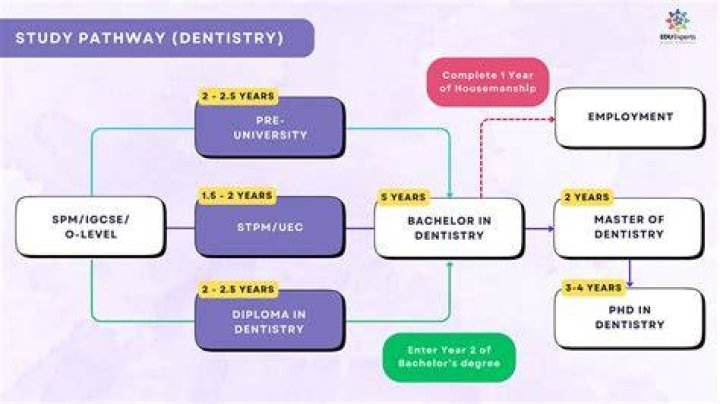 Comprehensive Guide to USC Dentistry Requirements: Your Path to Success