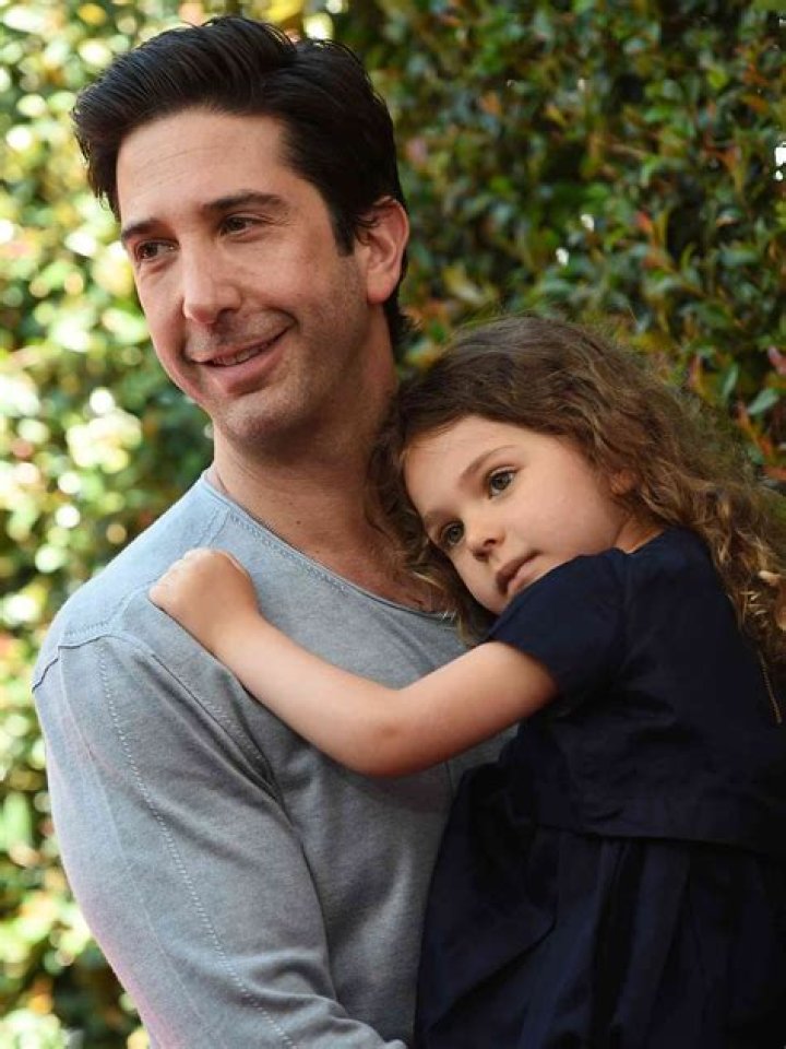 David Schwimmer Family: A Comprehensive Look into the Life and Legacy