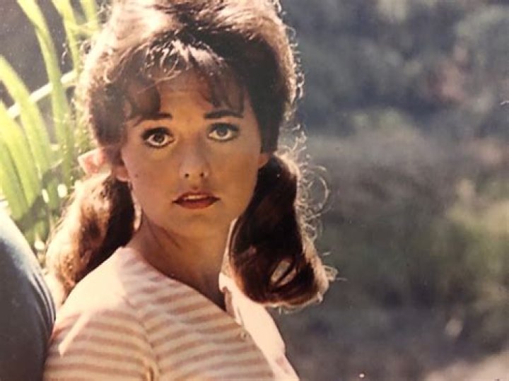 Dawn Wells Net Worth: A Comprehensive Look at the Life and Legacy of Mary Ann