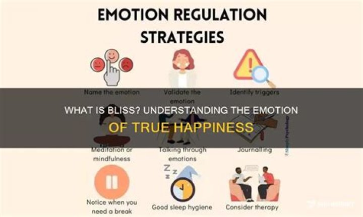 Definition of Bliss: Understanding the Ultimate State of Happiness