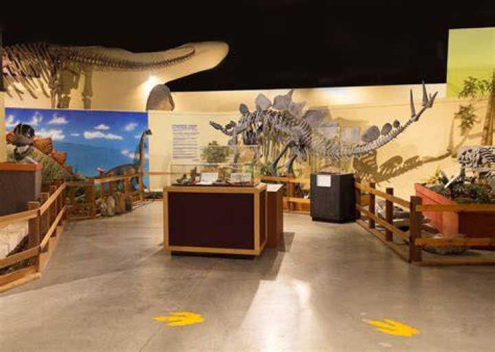 Dinosaur Museum Fruita: A Journey Through Time