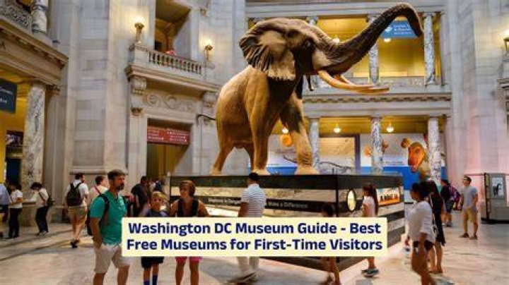 Discover the Best DC Free Museums: A Comprehensive Guide for Every Visitor