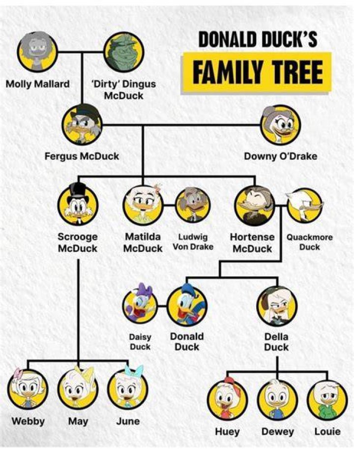 Discover the Duck Family: A Comprehensive Guide