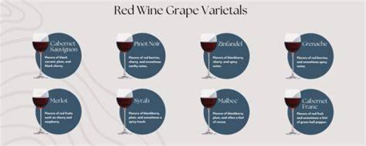Discover the Origins of Red Wine: A Comprehensive Guide