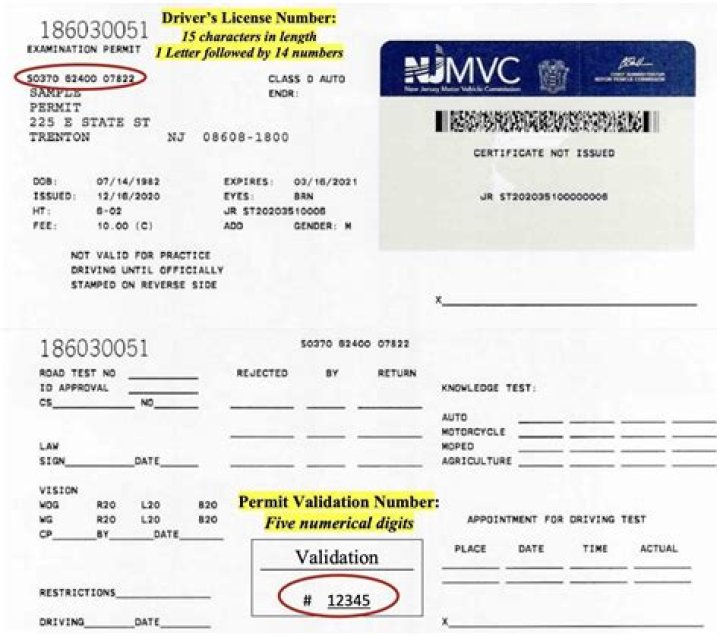 DMV Paterson NJ Hours: Your Comprehensive Guide to Visiting the DMV