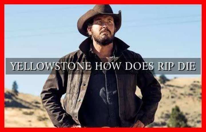 Does Rip Die in Yellowstone? Unveiling the Truth Behind the Popular Question