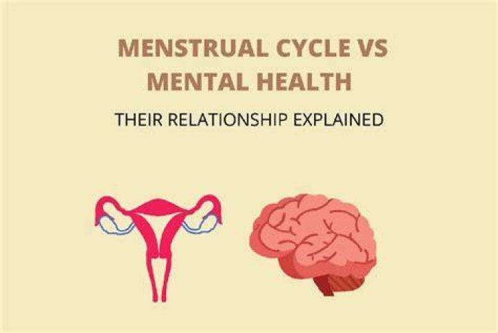 Dogs and Menstrual Cycles: Understanding the Connection