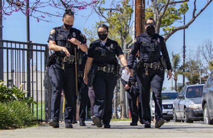 Exploring Long Beach PD: A Comprehensive Insight into Its Role, History, and Impact