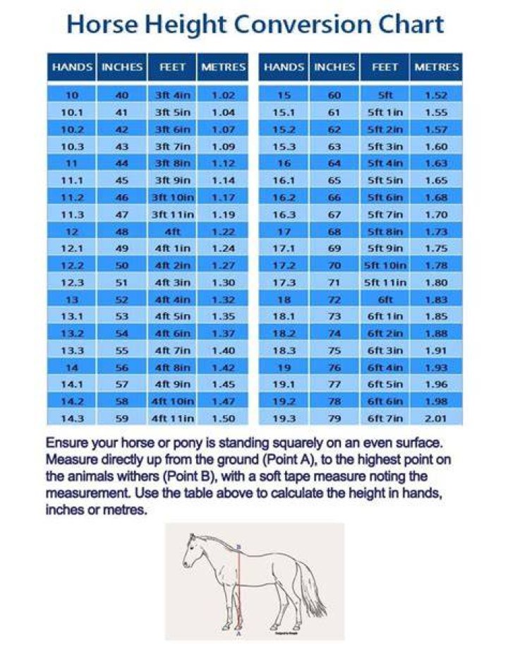 Hopeolo Height: A Comprehensive Guide to Understanding Their Stature and Achievements