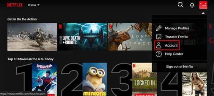 How to Safely Find Free Netflix Username and Understand the Risks