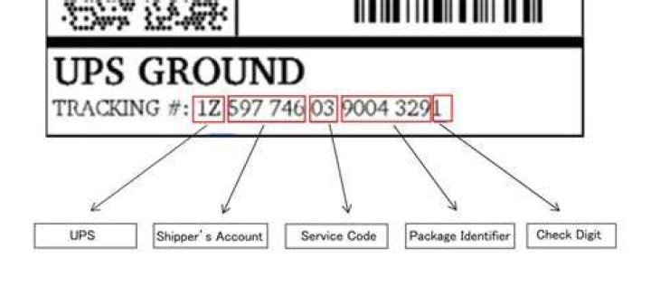 How to Use UPS Tracking Number and Phone Number for Efficient Package Monitoring