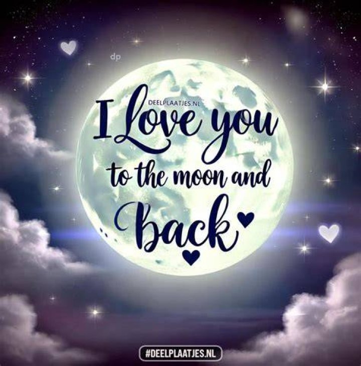 I Love You to the Moon and Back Phrase: A Heartfelt Journey Through Love and Meaning
