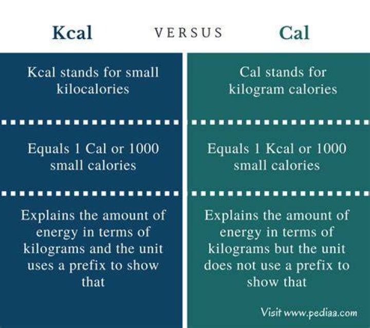 Kcal vs Cal: Understanding the Differences and Their Importance in Nutrition