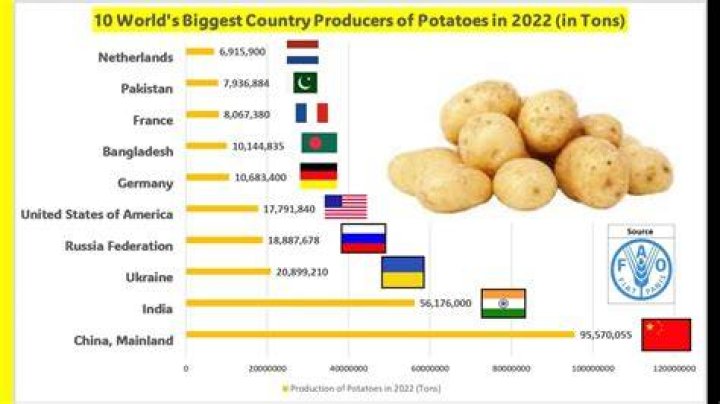 Largest Potato Producing State: Discovering the King of Tubers