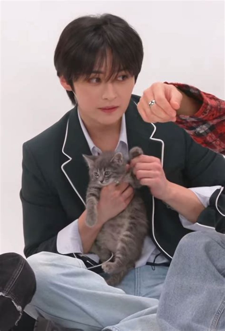 Lee Know Cat Name: Unveiling the Fascinating World of Lee Know's Beloved Pet