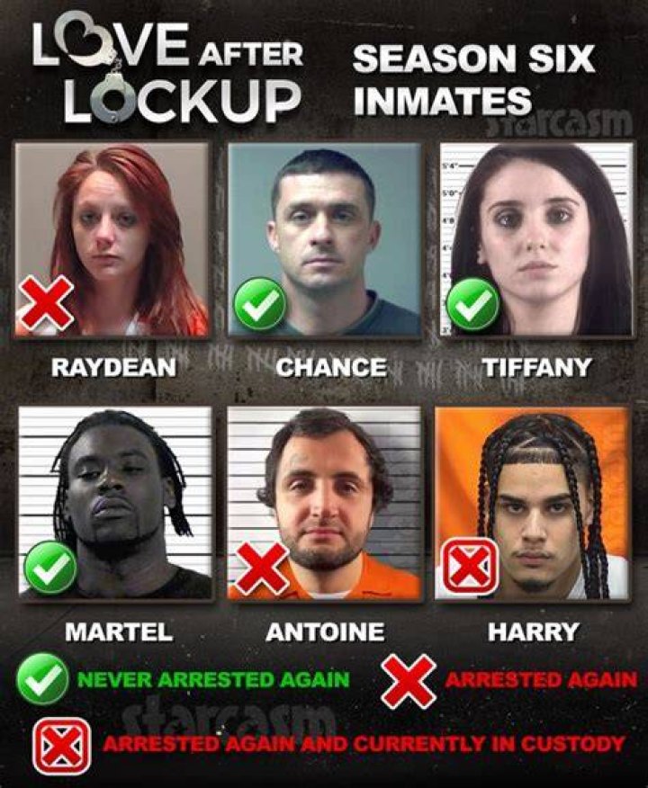 Love After Lockup Updates: The Latest Developments and Insights
