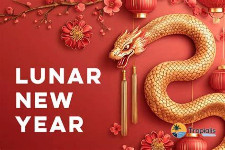 Lunar New Year 1976: A Time of Celebration and Cultural Reflection