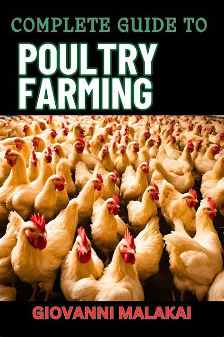 Majestic Poultry: A Comprehensive Guide to the World of High-Quality Poultry