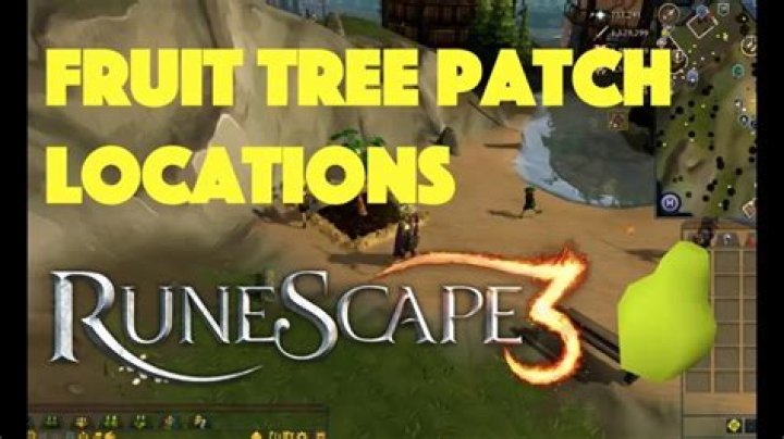 Mastering OSRS Fruit Tree Patches: A Comprehensive Guide to Boost Your Farming Skills