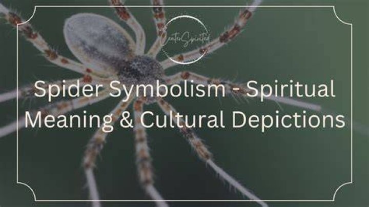 Meaning of 51/50: Unlocking the Symbolism, Origin, and Cultural Relevance