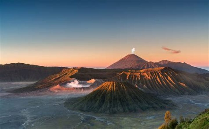 Miawan: The Ultimate Guide to Discovering Indonesia's Beloved Dish