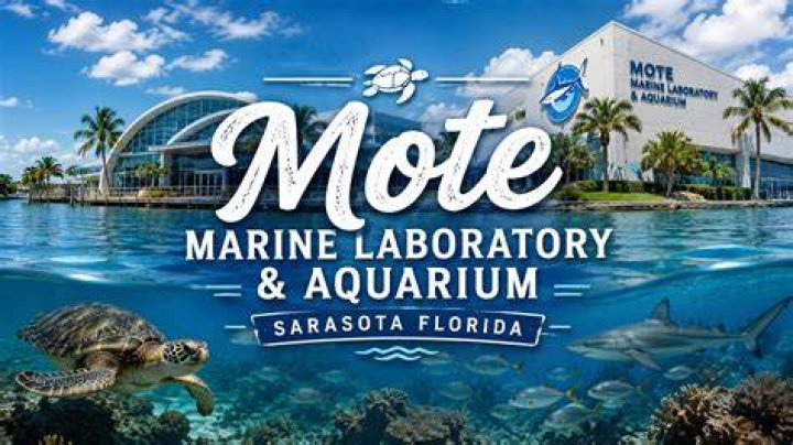 Mote Marine Laboratory Aquarium: A Premier Destination for Marine Research and Exploration