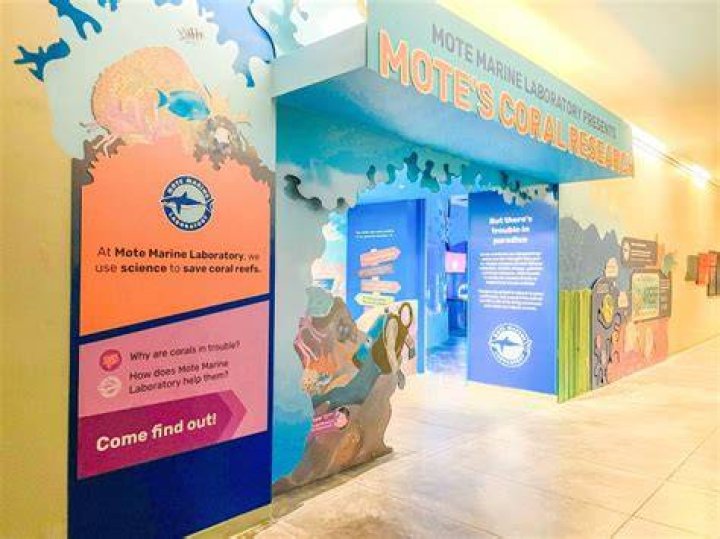 Mote Marine Laboratory Exhibits: A Comprehensive Guide to Marine Conservation and Research
