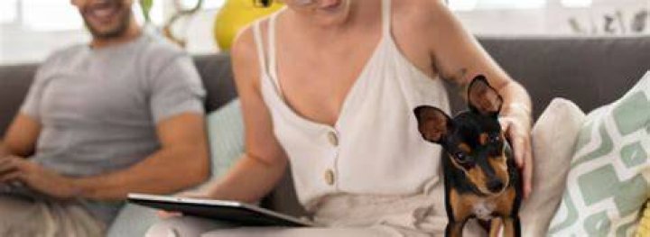 My Petensitivity: A Comprehensive Guide to Understanding and Managing Your Pet's Sensitivities