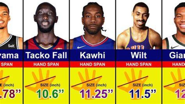 NBA Big Hands: The Untapped Power Behind the Game